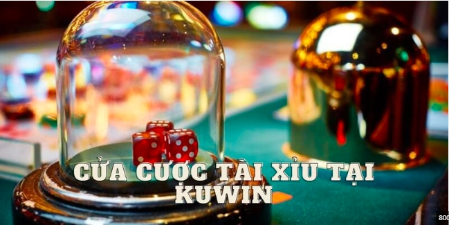 Những câu hỏi thường gặp khi chơi game tài xỉu trực tuyến