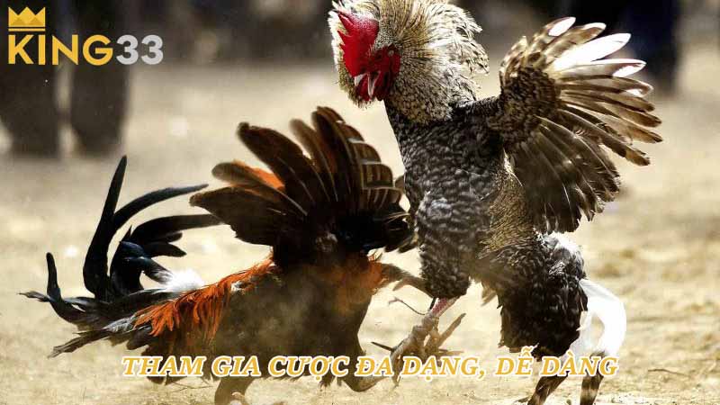 Tham gia cược đa dạng, dễ dàng